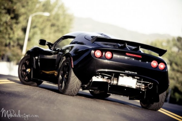 lotus5.jpg