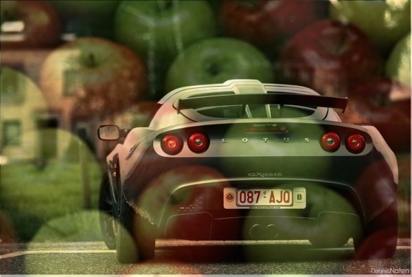 lotus appel.jpg