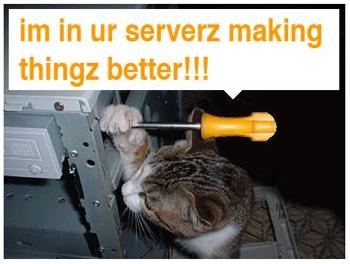 cat.jpg