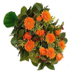product_5_166 [].jpg