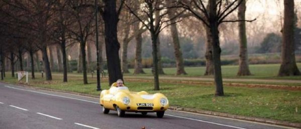 Lotus6_12458s.jpg