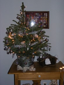 2008_12050019.JPG