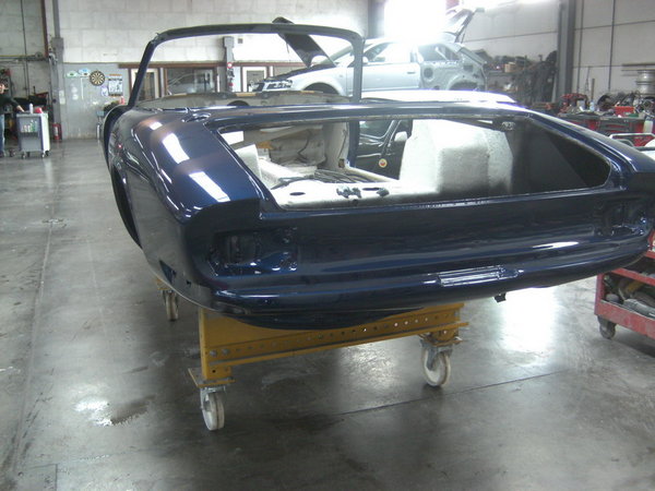 Iris Bleu Perl 04.jpg