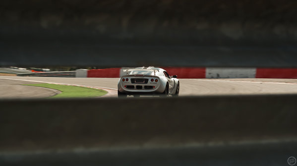IMG_3674.jpg