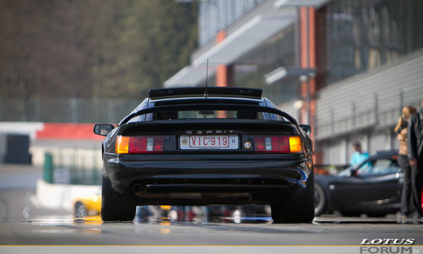 Vic's Esprit