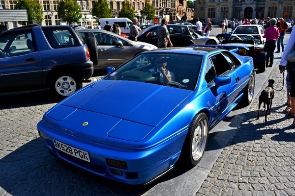 DSC_1039b_800x533.jpg