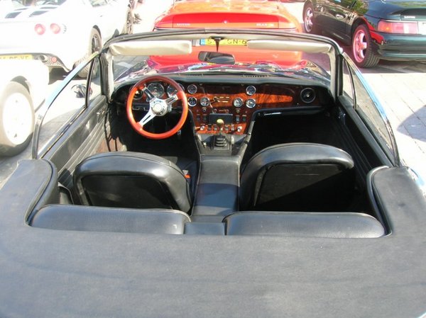 Ypers Lotus Day 2011 013 [800x600].jpg