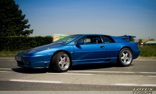 sized_YLD 2011-2212.jpg