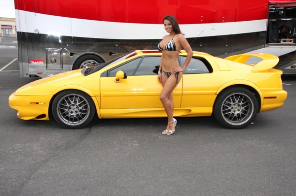 lotus0003.jpg