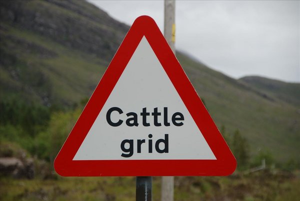 cattle grid.JPG