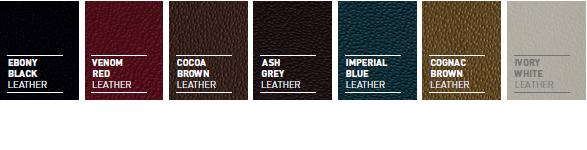 Interior_-_Leather.jpg