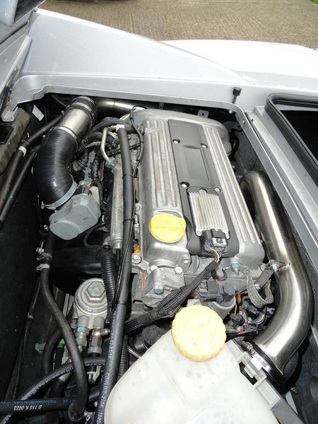 tibby261.jpg