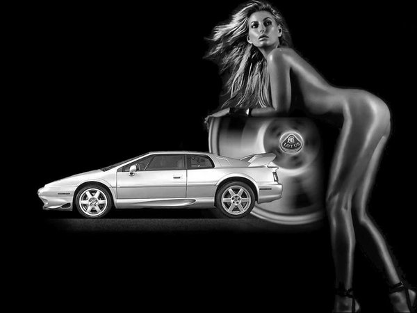 pitbabe29_1024[1].jpg