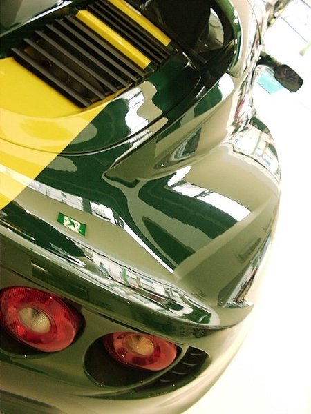 elise-green01[1].JPG
