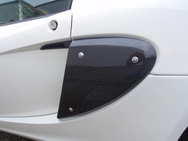 lotuscarbon 005-1.JPG