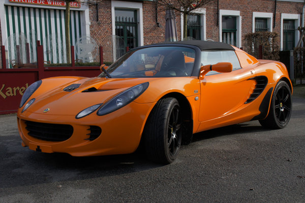 lotus2a.jpg