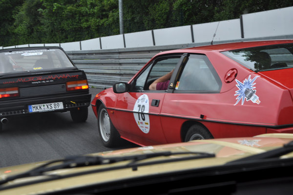 lotus excel DSC_0431yrc.jpg