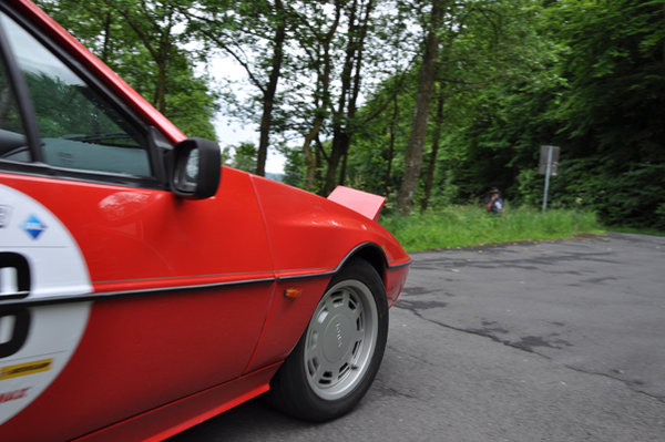 lotus excel DSC_0300yrc.jpg