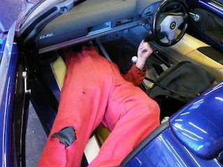 Lotus stand.jpg