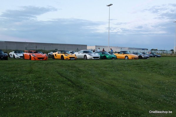 Lotus By Night 2012 .jpg