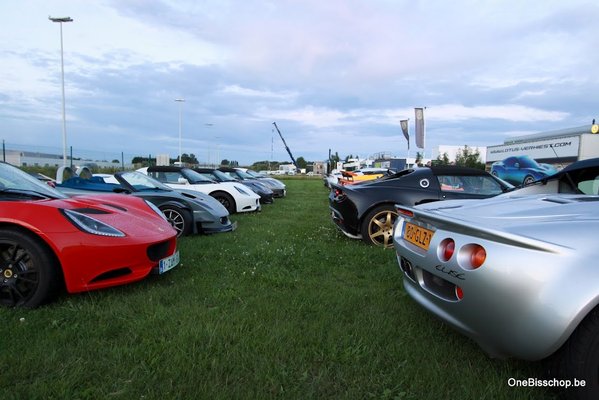 Lotus By Night 2012-3 .jpg