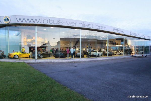 Lotus By Night 2012-4 .jpg