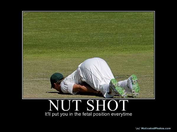 nut shot.jpg