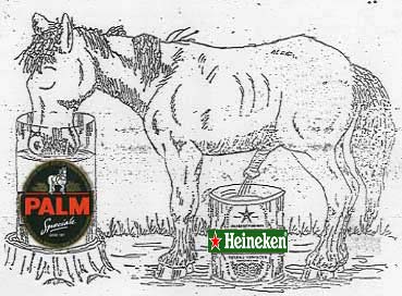 palm-heineken.jpg
