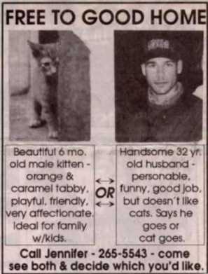 de kat of ik...jpg