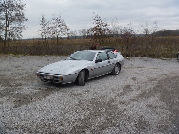resized_for_forum11.JPG