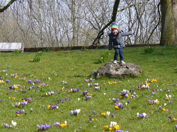 Lente 27 maart 13 013 (Custom).JPG