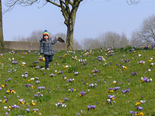 Lente 27 maart 13 020 (Custom).JPG