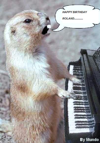 the_singing_hog.jpg