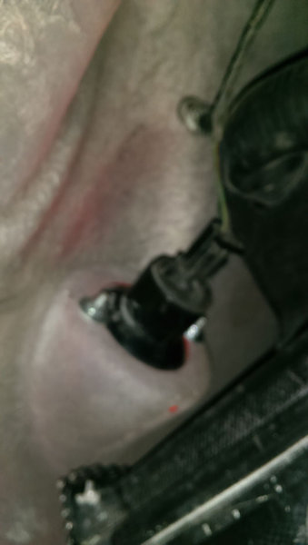 pinkermoer1.jpg