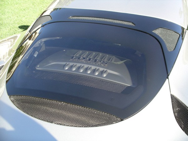 IMGP4253s.JPG