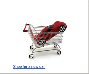 300x250_shoppingcar_21.gif