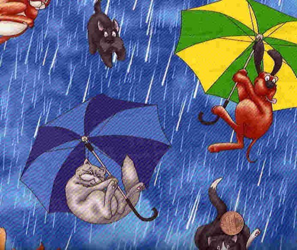 Raining Cats and dogs.jpg