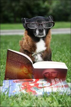 LEZENDE HOND.jpg