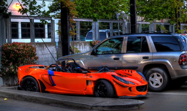 lotusSP_3.jpg