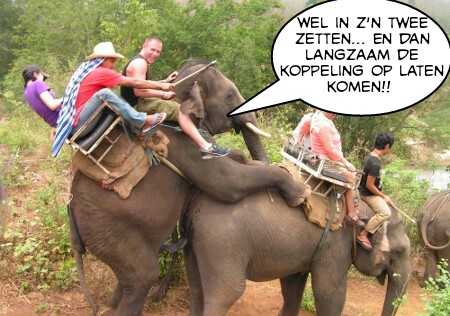 olifant-rijden_lachvandedag-nl.jpg